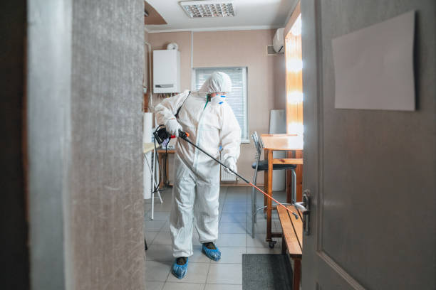 Mold Odor Removal Services in Coldspring, TX